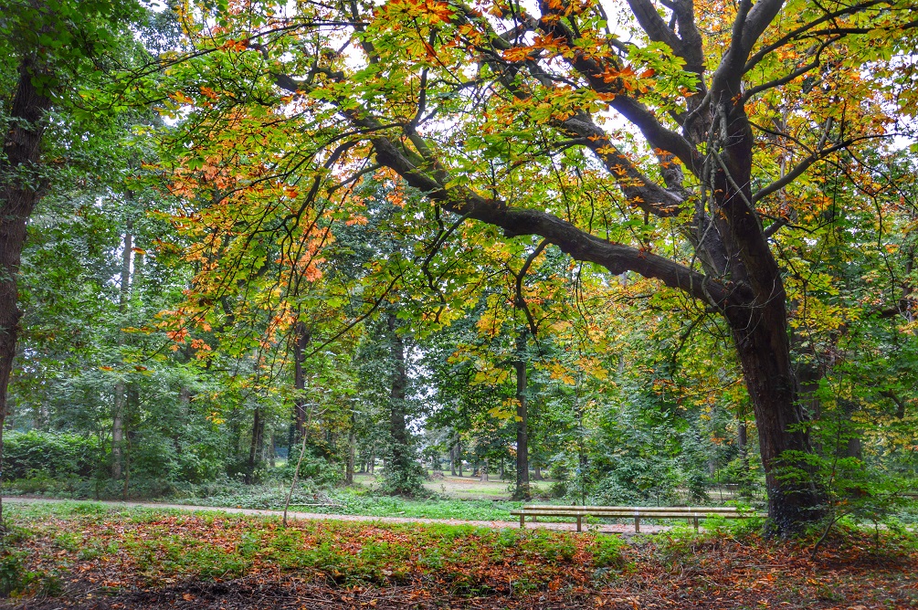 Antrim Castle Gardens