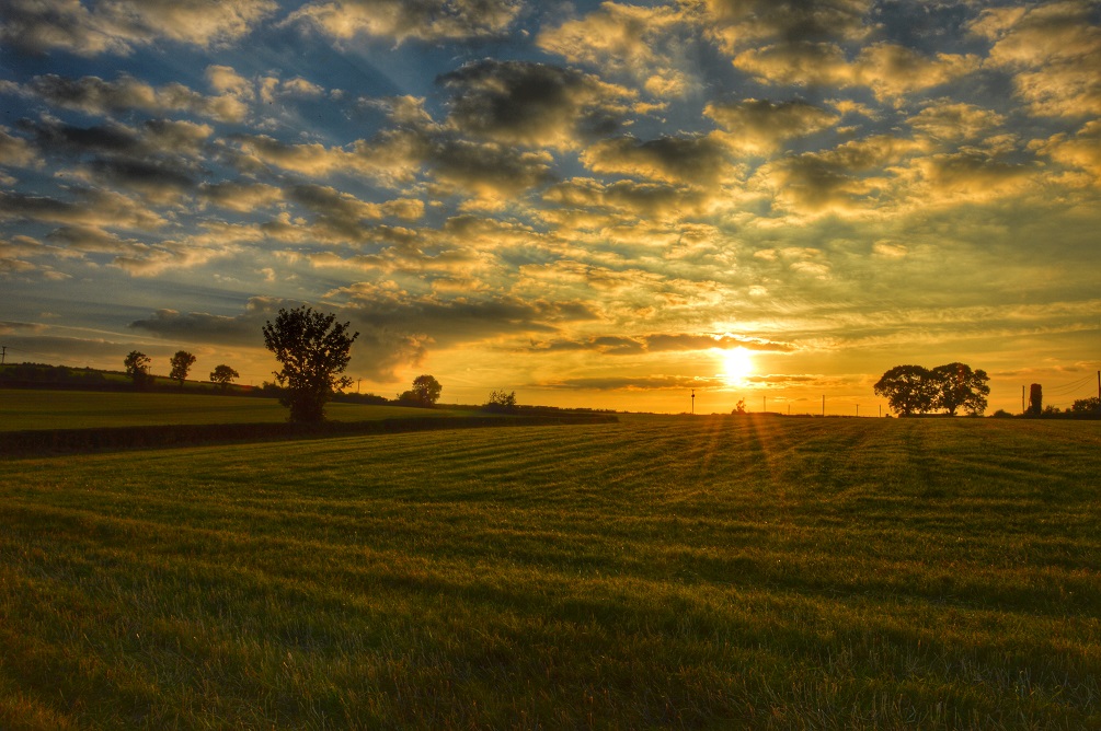 Autumn Sunset